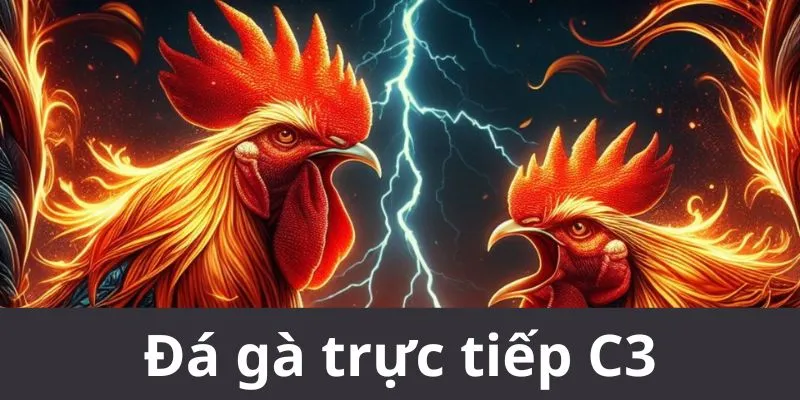 Đá gà trực tiếp c3